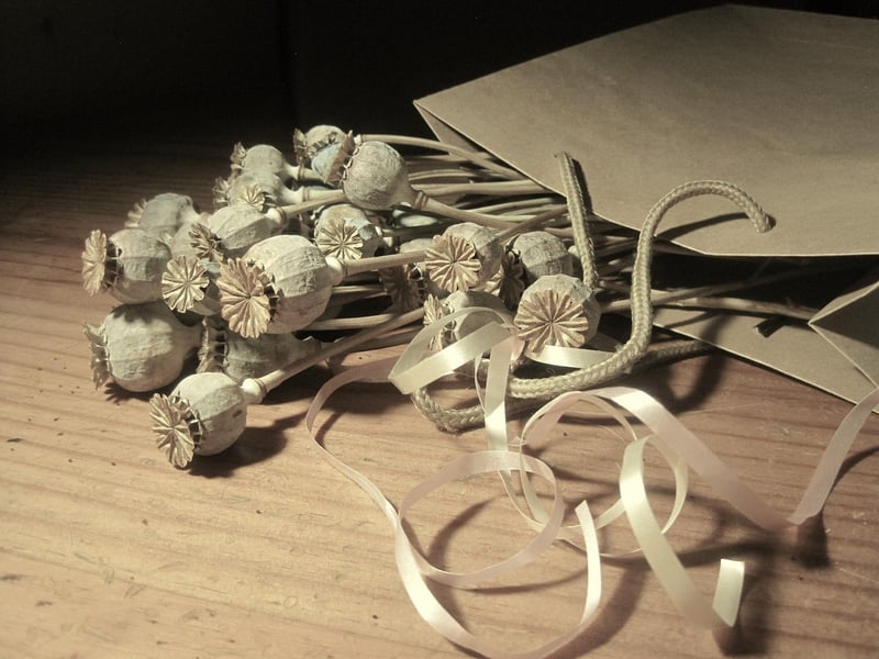 Cosmic Seed Packets